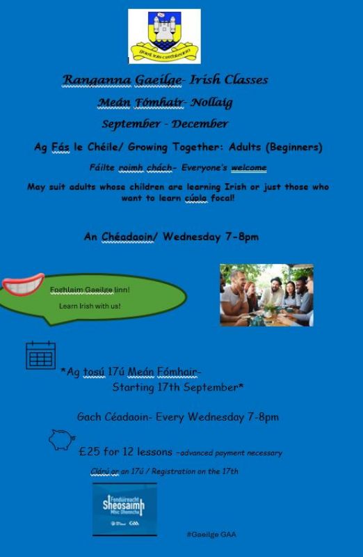 Adult Irish Classes